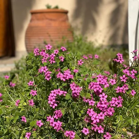 Elsa Haus アパート ポトス