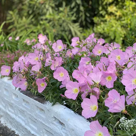 דירה Elsa Haus פוטוס