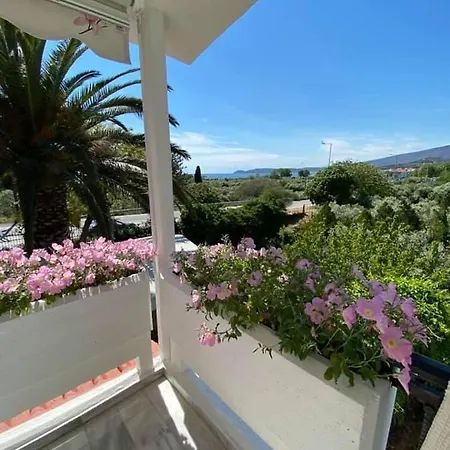 Elsa Haus * פוטוס