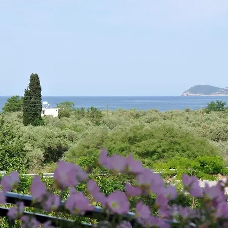 Elsa Haus Апартаменты *