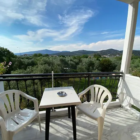 Elsa Haus Потос