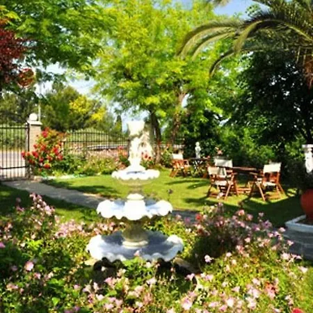 Elsa Haus * Потос