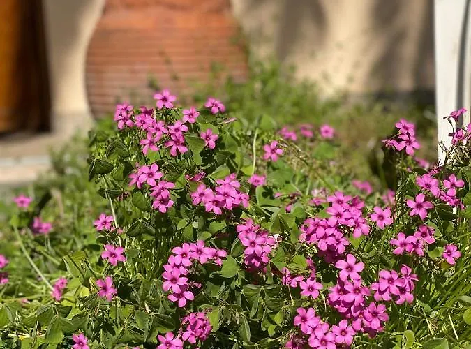 Elsa Haus Apartament Potos