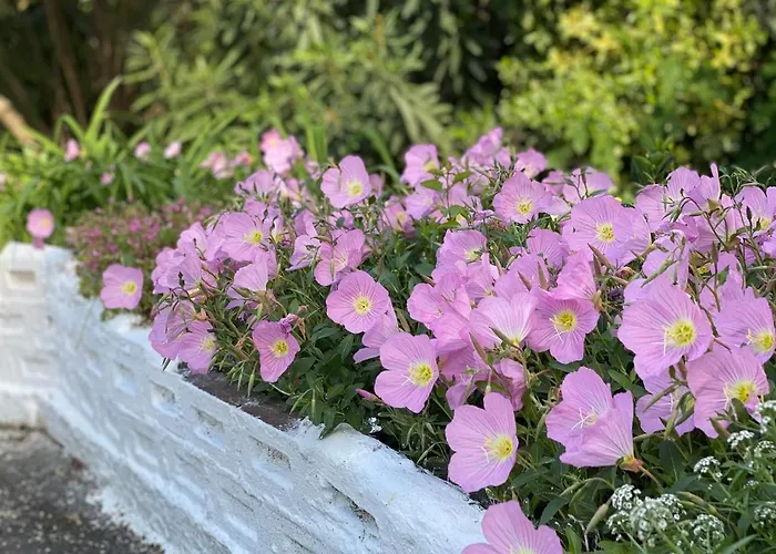 Apartament Elsa Haus Potos