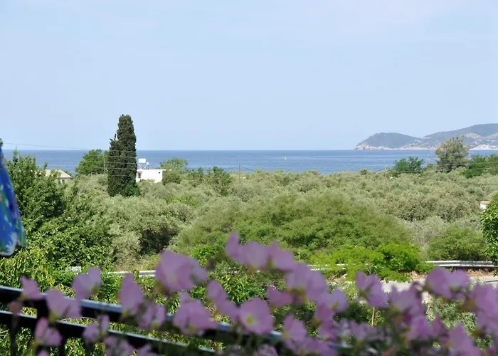 Elsa Haus Apartament *